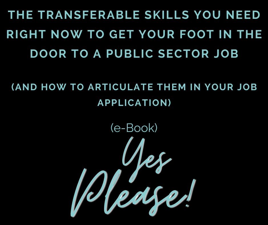 Free ebook - the transferable skills you need right now to get your foot in the door to a public sector job